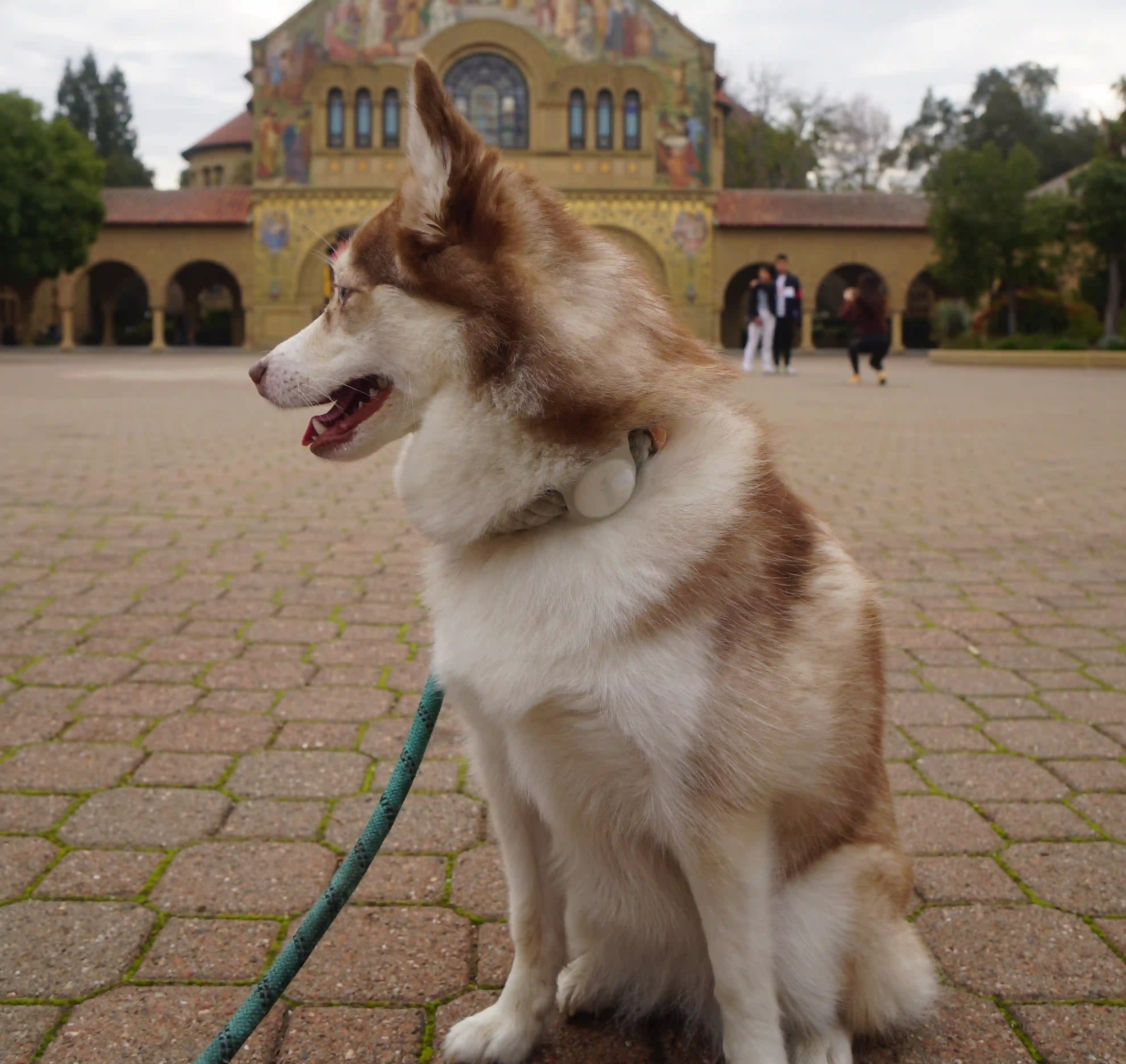 Bad photo example - no face visible