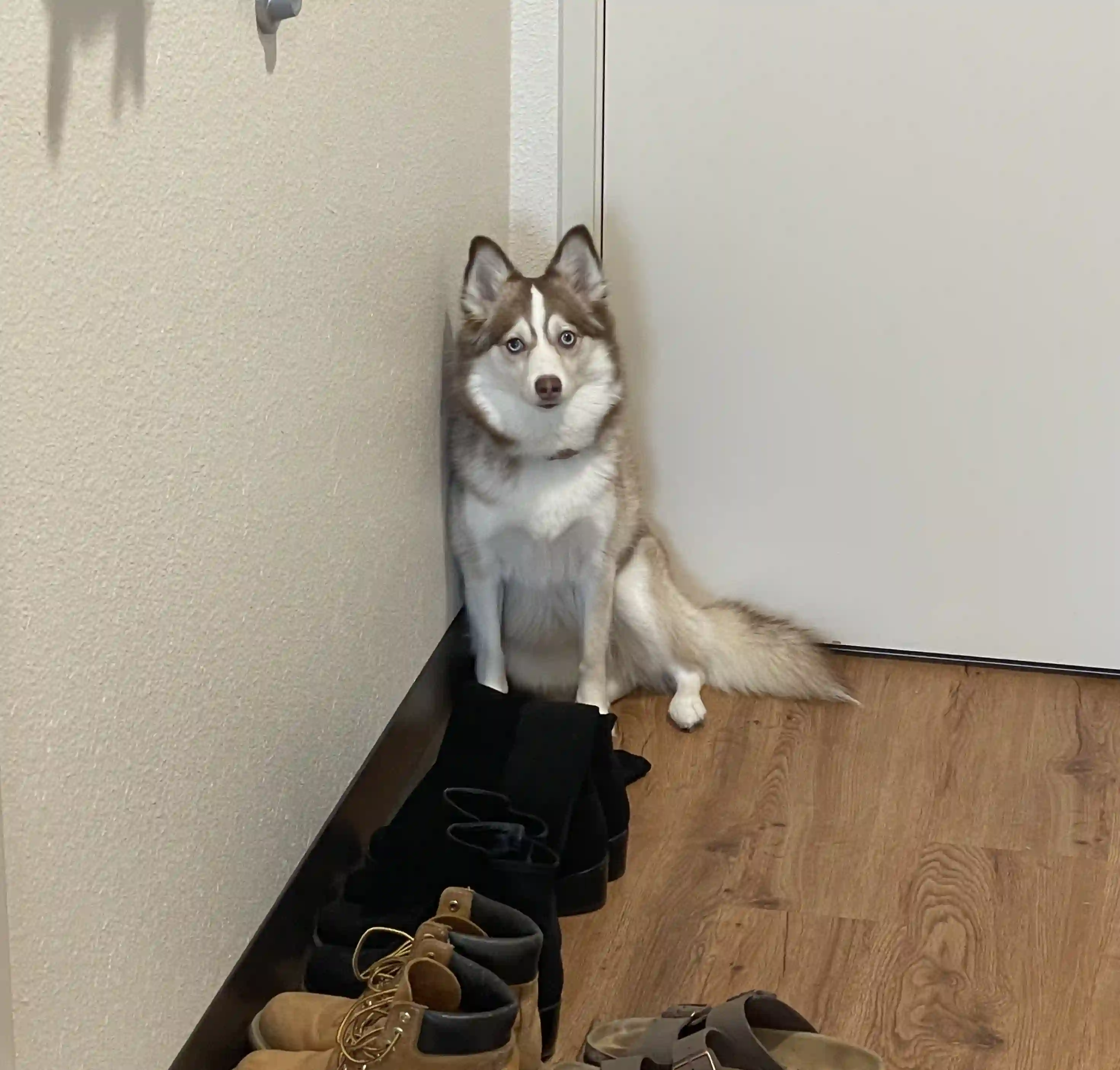 Bad photo example - face too small