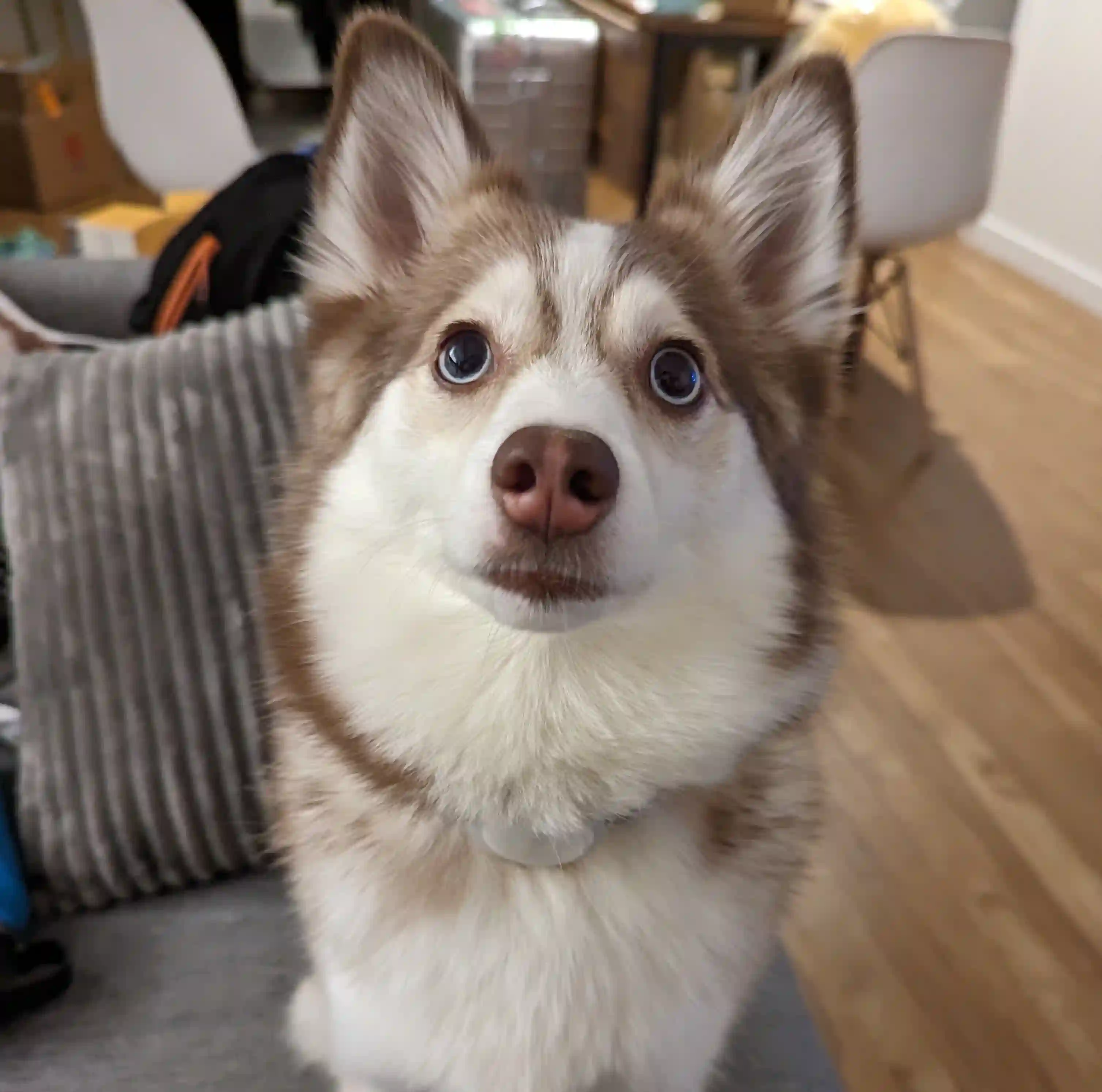 Good photo example - clean background