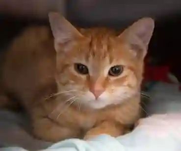 Good photo example - good lighting