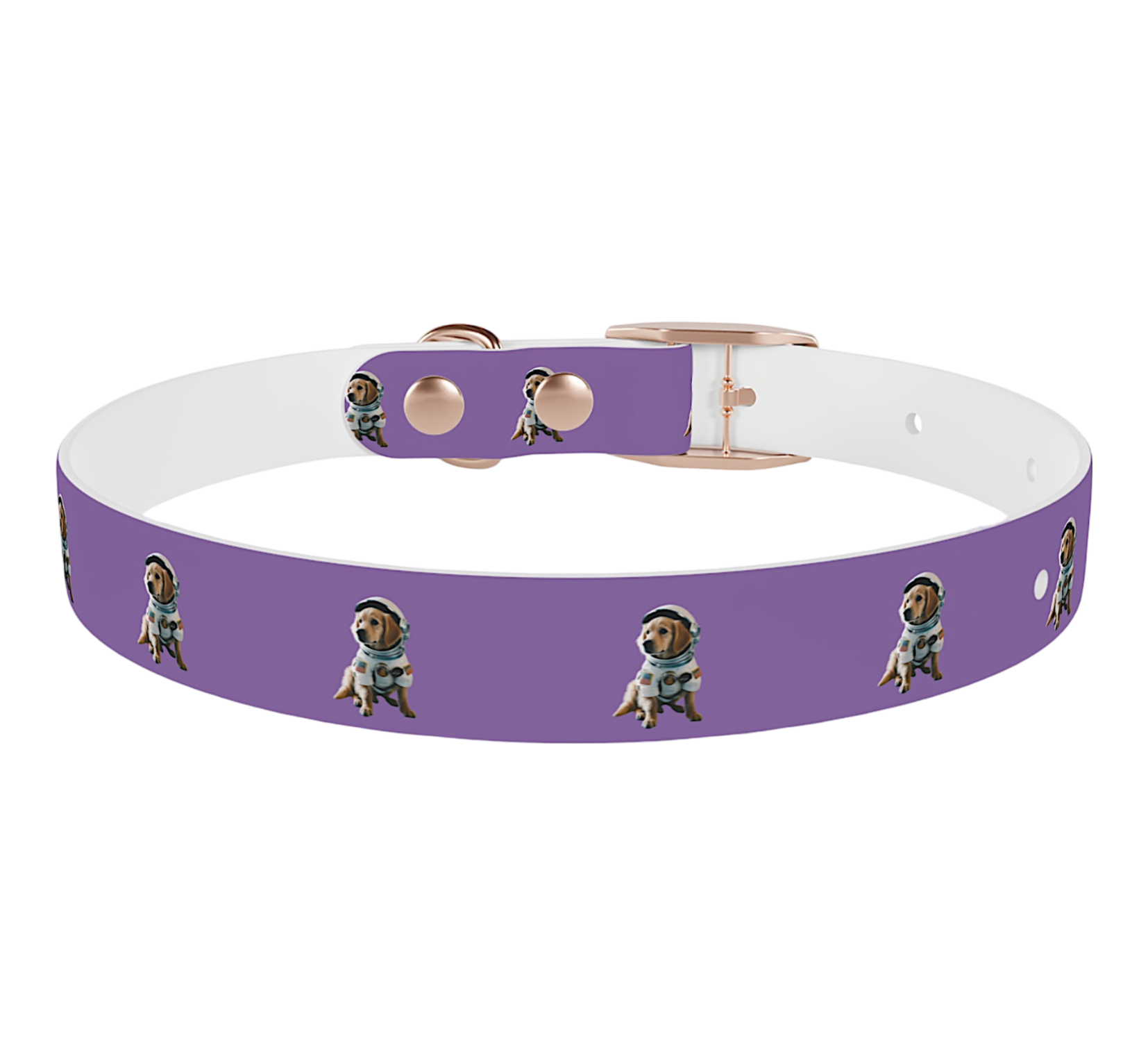 Custom Pet Collars - Personalized Pet Products